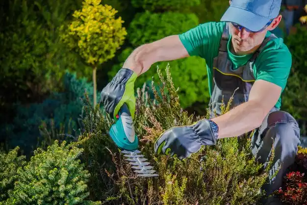 landscaping services Etna